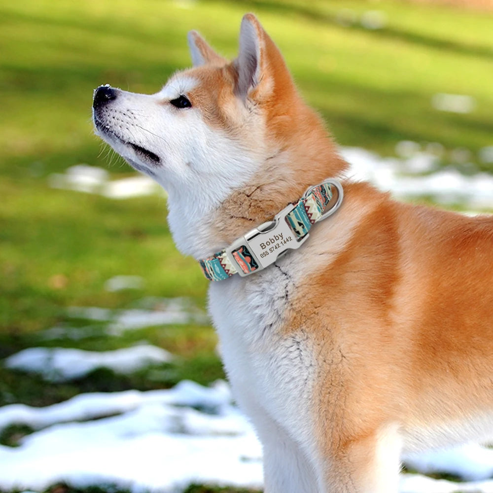 COLLARE CANI PERSONALIZZATO! 🐶 Nylon Resistente + ID GRATIS - Taglia S/M/L