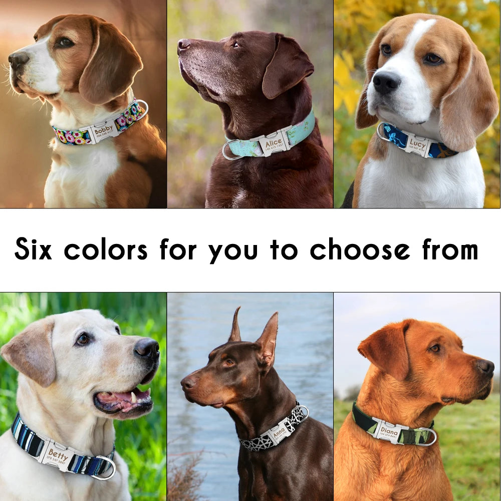 COLLARE CANI PERSONALIZZATO! 🐶 Nylon Resistente + ID GRATIS - Taglia S/M/L