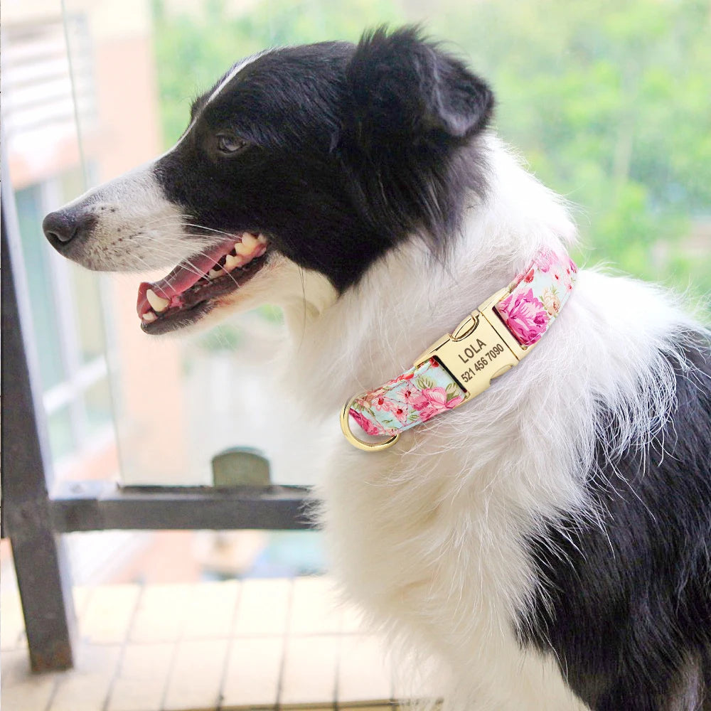 COLLARE CANI PERSONALIZZATO! 🐶 Nylon Resistente + ID GRATIS - Taglia S/M/L