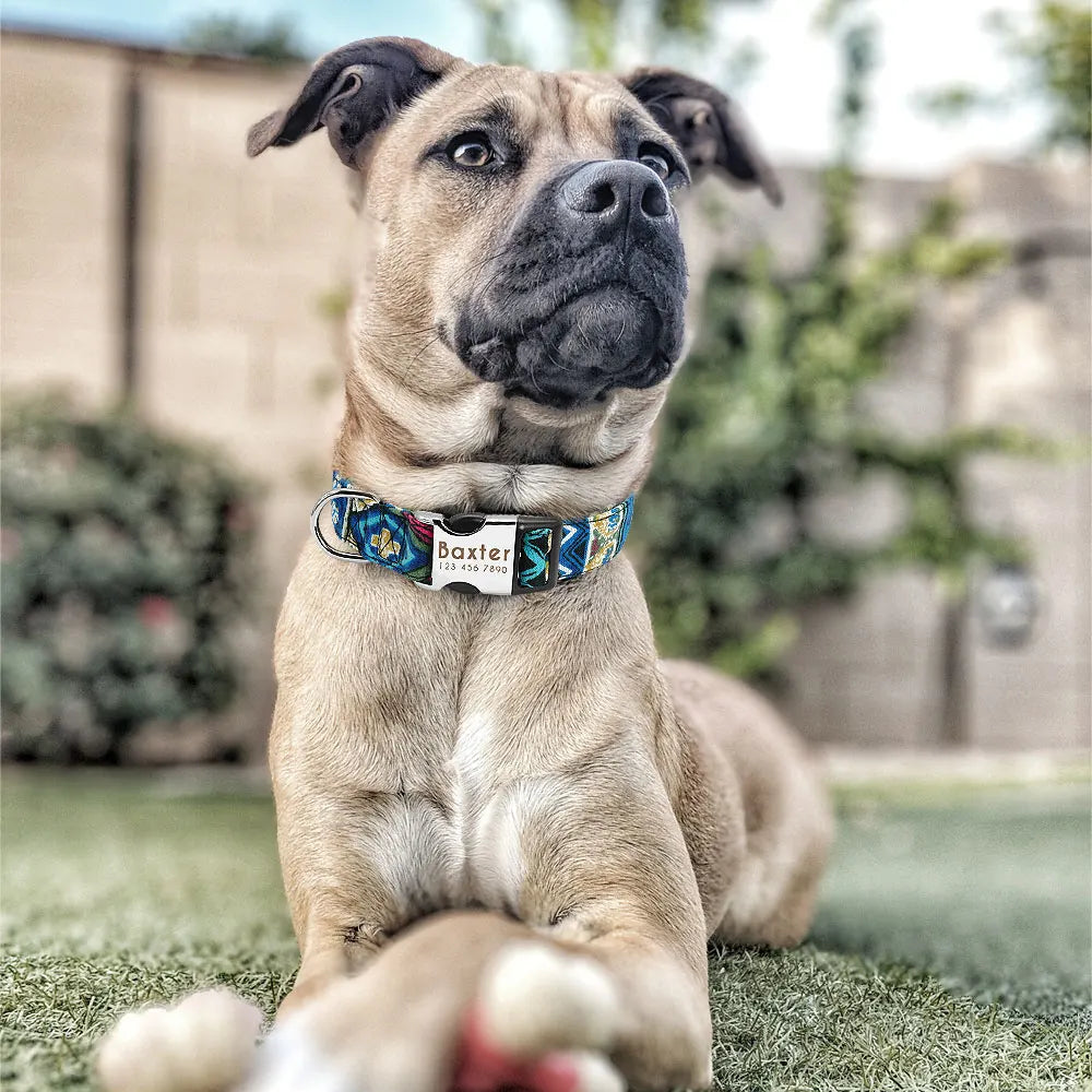 COLLARE CANI PERSONALIZZATO! 🐶 Nylon Resistente + ID GRATIS - Taglia S/M/L