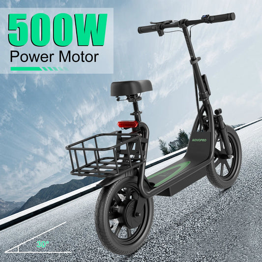 Scooter Elettrico ESBSPRO - 500W  100KM Autonomia  35km/h