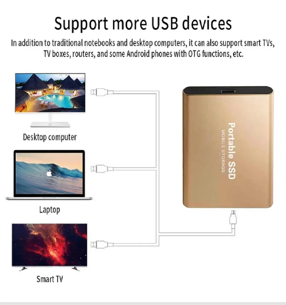 SSD Esterno Ultra Veloci Portabile Compatibile con PC/Mac/Phone!