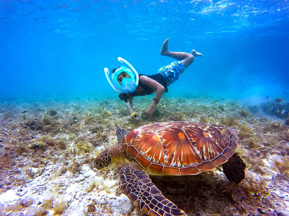 Maschera Snorkeling Panoramica 180° - Antiappannamento, Dry Top, 2 Snorkel