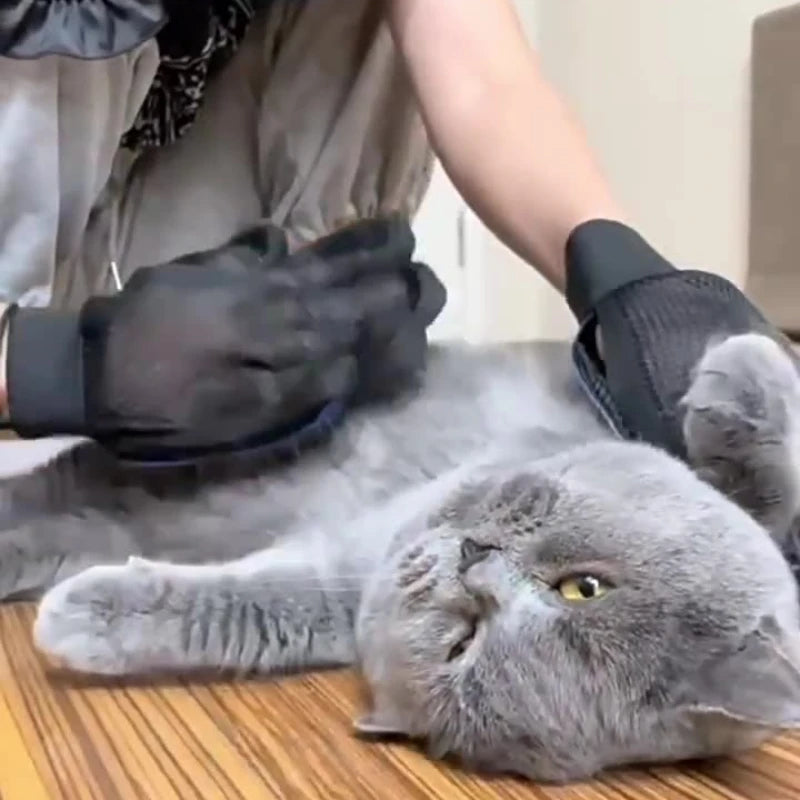 Guanti Toelettatura Cani/Gatti in Silicone - Spazzola, Pettine & Massaggio