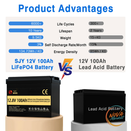 Batteria LiFePO4 12V 100Ah, 1280Wh per camper e barche