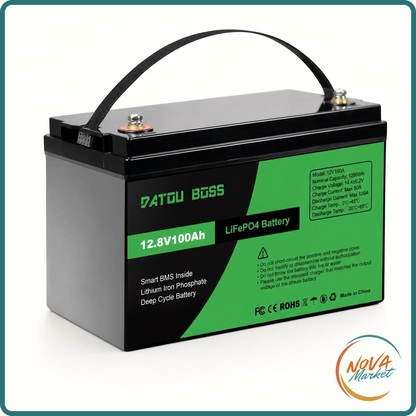 Batteria LiFePO4 12V 100Ah con Smart BMS