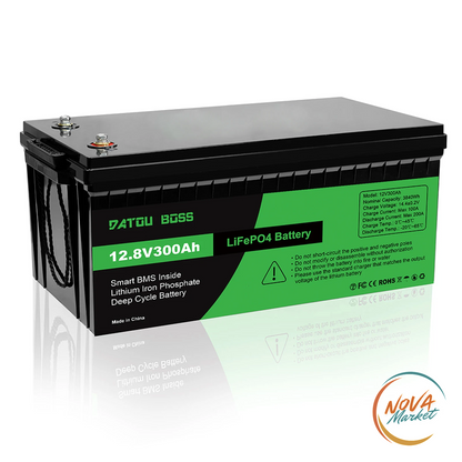 Batteria LiFePO4 12V 100Ah con Smart BMS