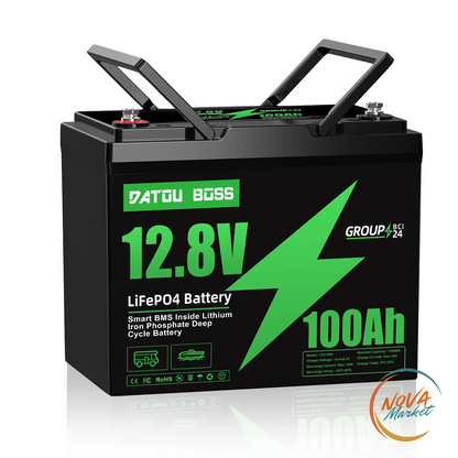 Batteria LiFePO4 12V 100Ah con Smart BMS