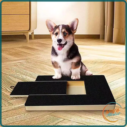 Lima per unghie per cani con tavola antigraffio e cassetto