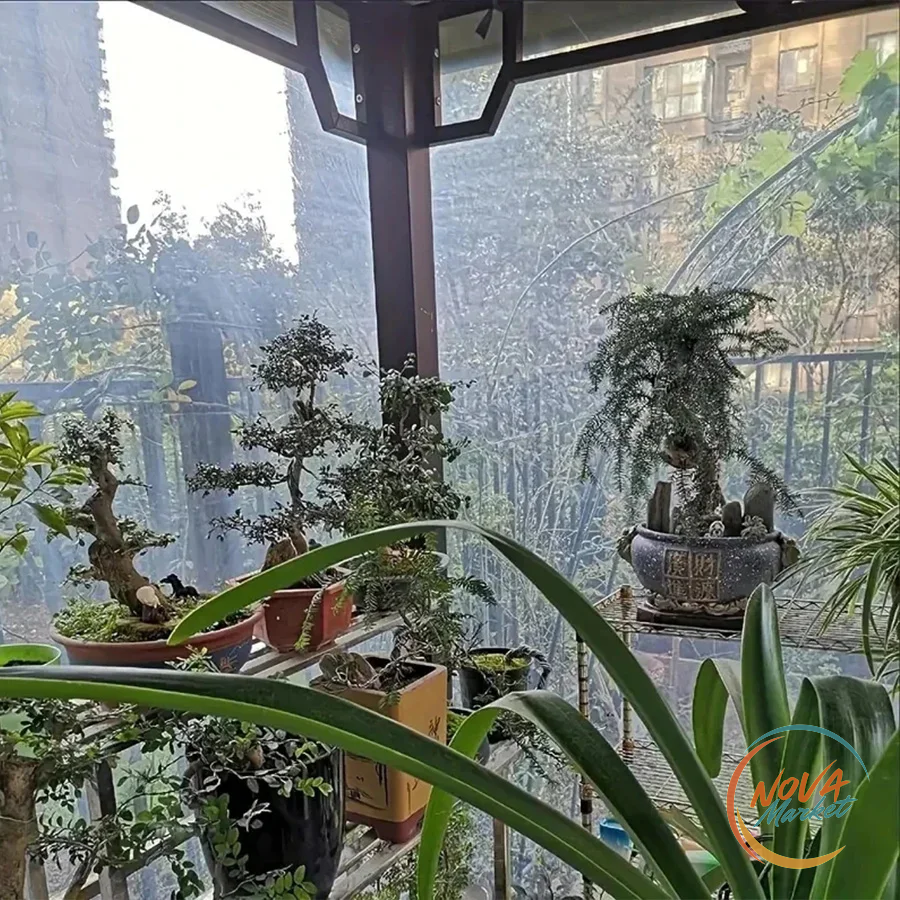 Telone Trasparente Impermeabile per Piante e Giardino