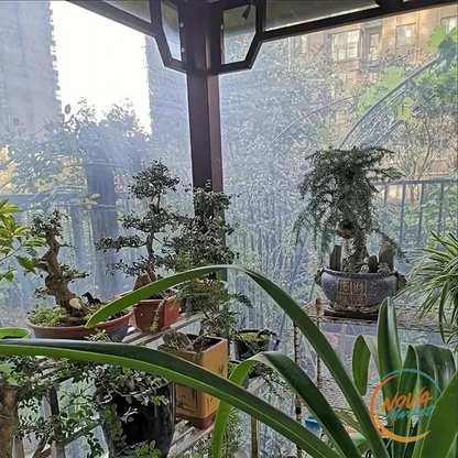 Telone Trasparente Impermeabile per Piante e Giardino