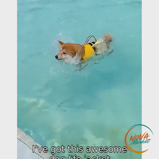 Anteprima video Giubbotto Salvagente per Cani Regolabile e Alta Visibilità - NovaMarket