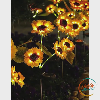 Anteprima video Luci solari a girasole da giardino LED, 1 o 3 teste - NovaMarket