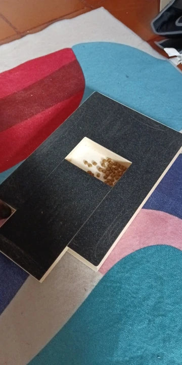 Foto allegata alla recensione di L.