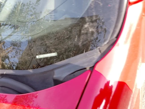 Foto allegata alla recensione di Cliente