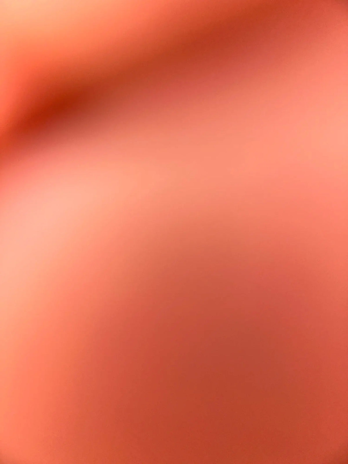 Foto allegata alla recensione di S.