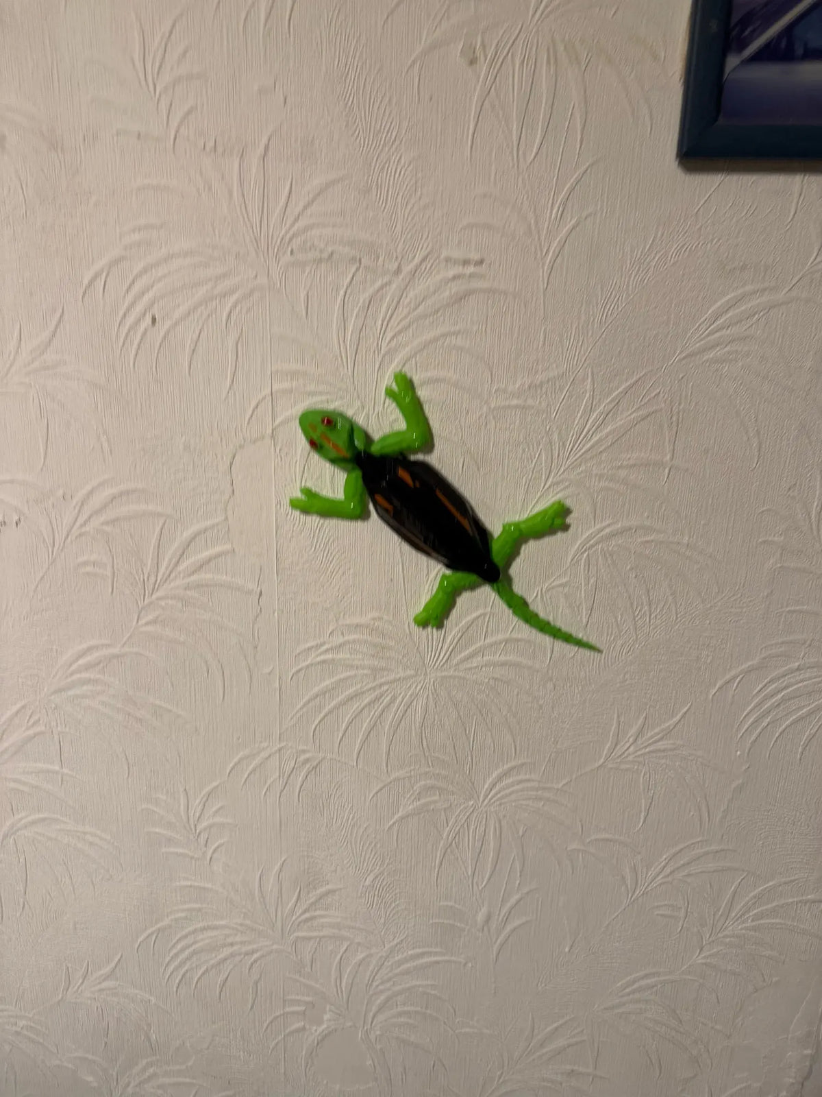 Foto allegata alla recensione di K.