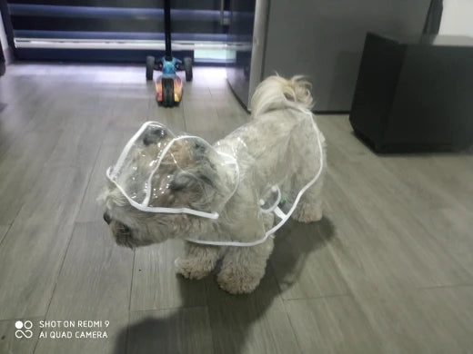 Foto allegata alla recensione di Cliente